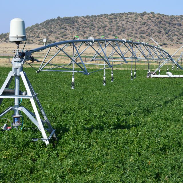 Pivots
