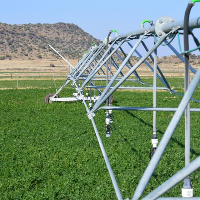 Pivots