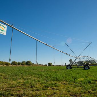 Electric Driven Pivot